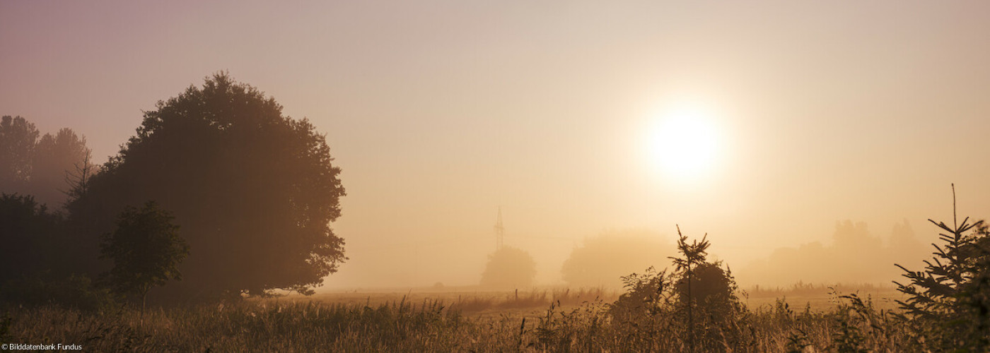 Sonnenaufgang über Wiesengrund