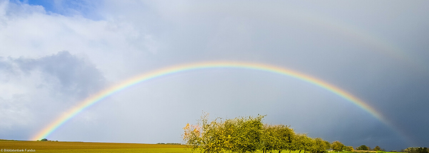 Regenbogen